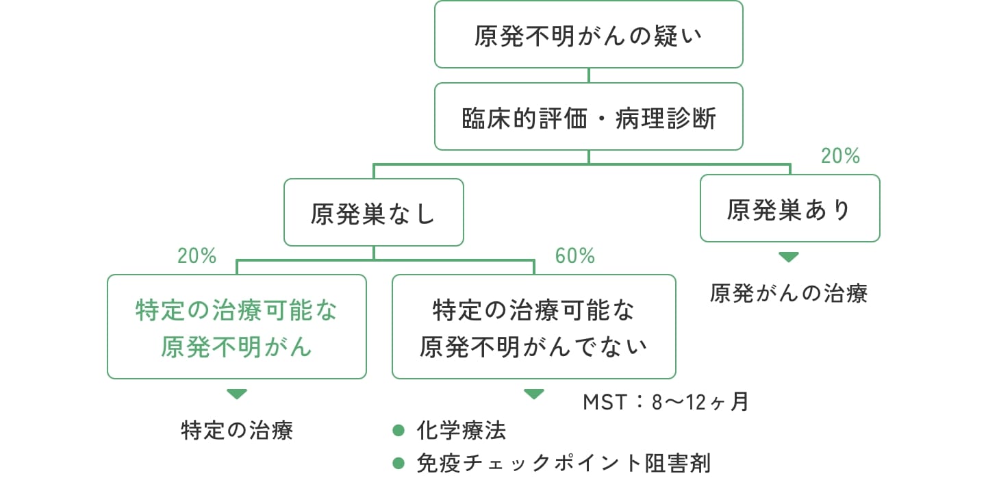 診断と治療のフローチャート